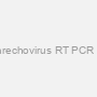 Parechovirus RT PCR kit